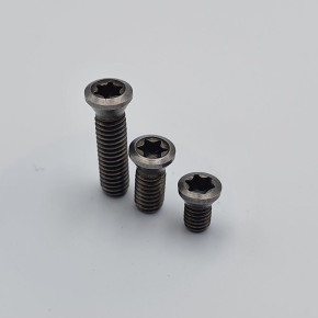 Torx screw for machining insert