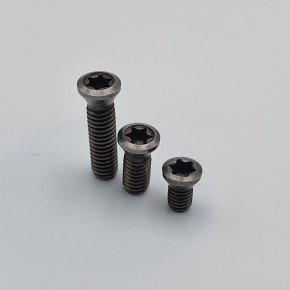 Standard Metric screws for inserts